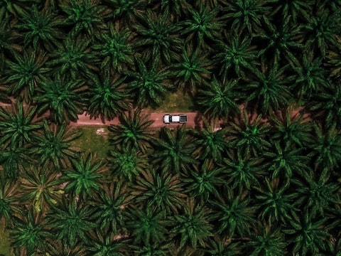 Featured image for Clean Growth Strategy fails to address aviation policy gap