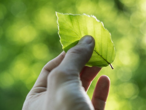 Featured image for Why Heathrow's sustainability strategy doesn't quite cut it