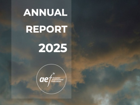 Featured image for AEF's 2025 Annual Report